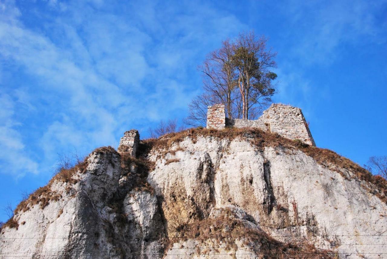 Pokoje Goscinne U Grazyny Ojcow エクステリア 写真