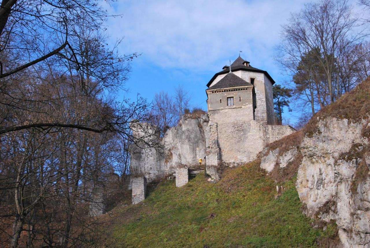 Pokoje Goscinne U Grazyny Ojcow エクステリア 写真