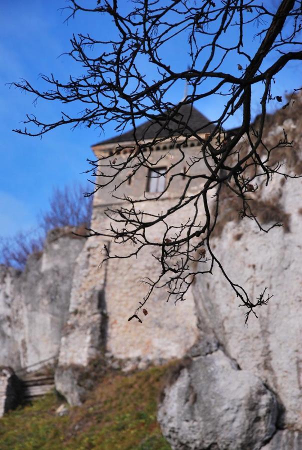 Pokoje Goscinne U Grazyny Ojcow エクステリア 写真