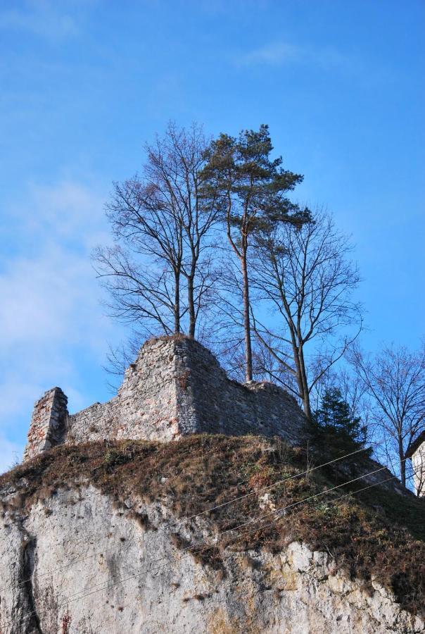 Pokoje Goscinne U Grazyny Ojcow エクステリア 写真