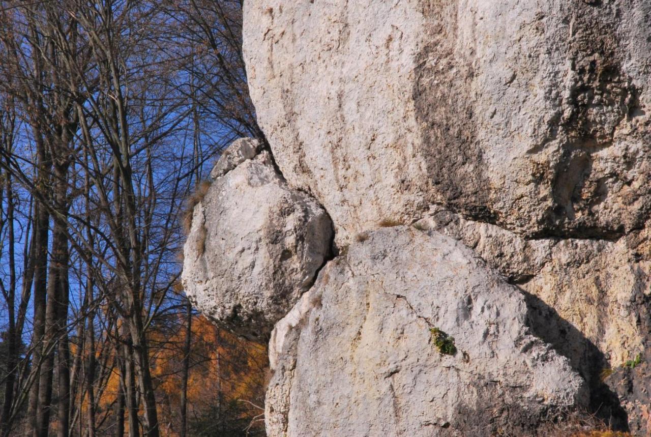 Pokoje Goscinne U Grazyny Ojcow エクステリア 写真