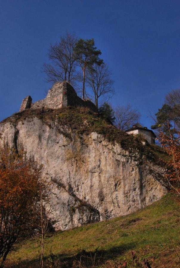 Pokoje Goscinne U Grazyny Ojcow エクステリア 写真