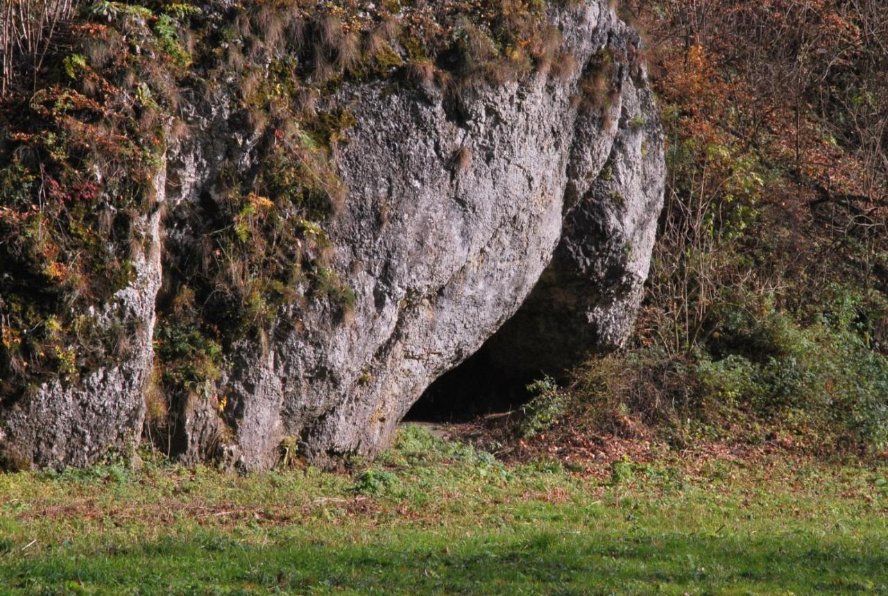 Pokoje Goscinne U Grazyny Ojcow エクステリア 写真