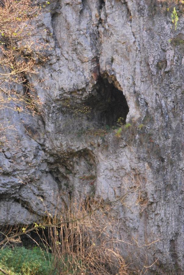 Pokoje Goscinne U Grazyny Ojcow エクステリア 写真