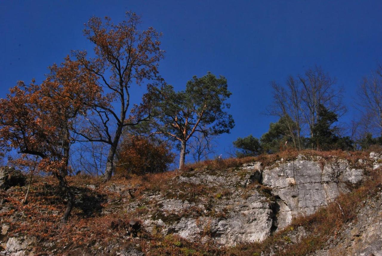 Pokoje Goscinne U Grazyny Ojcow エクステリア 写真