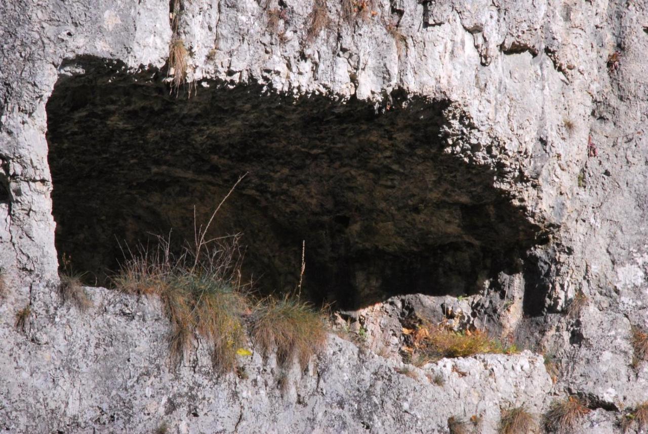 Pokoje Goscinne U Grazyny Ojcow エクステリア 写真